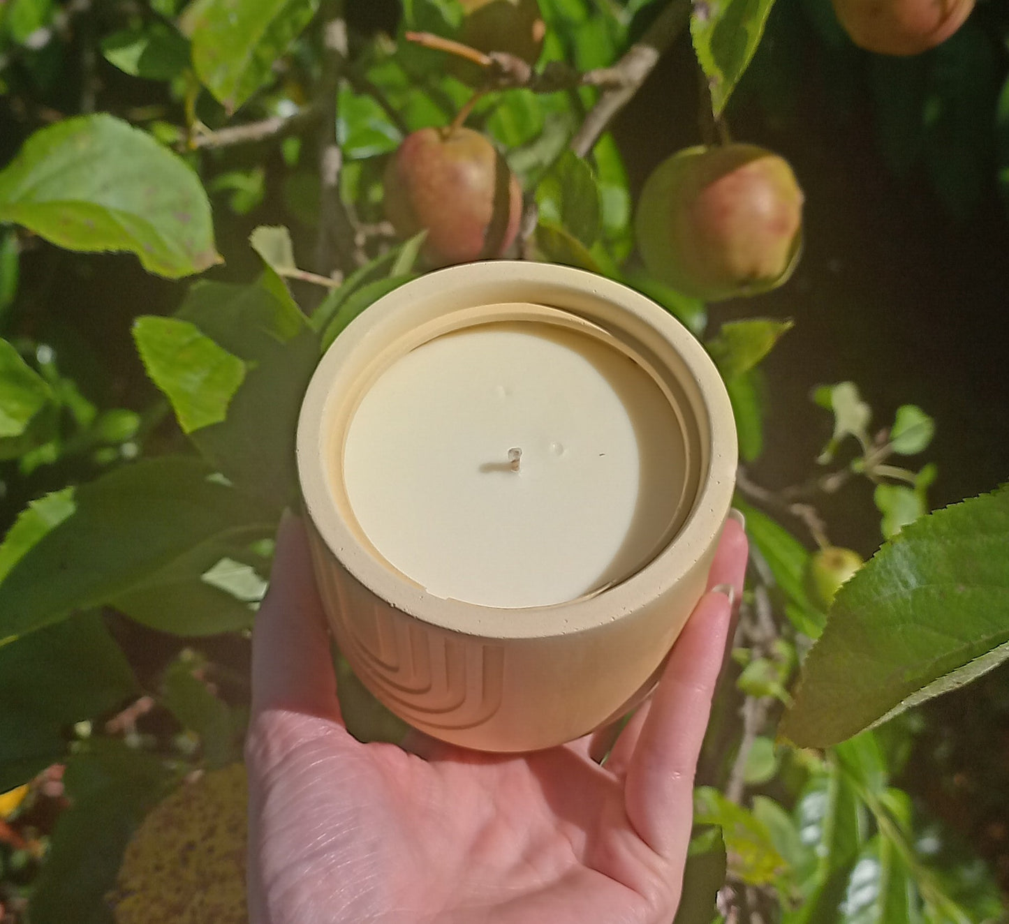 Sunny Day Handmade Concrete Candle 250g